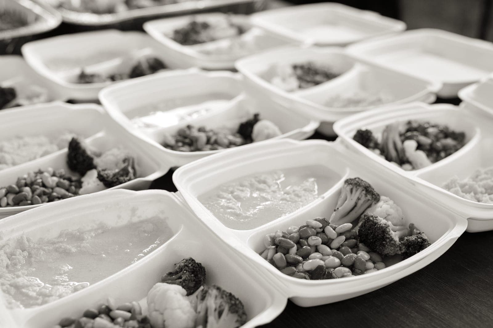 Prepared meals portioned into containers